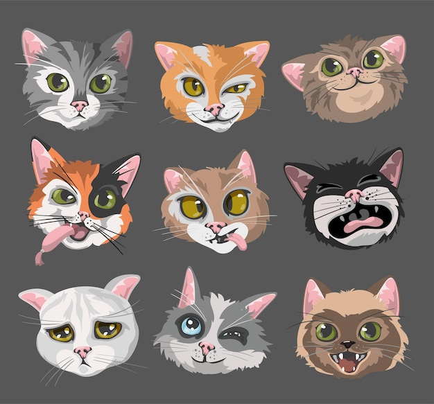 Set di emoticon di volti di teste di gatti.