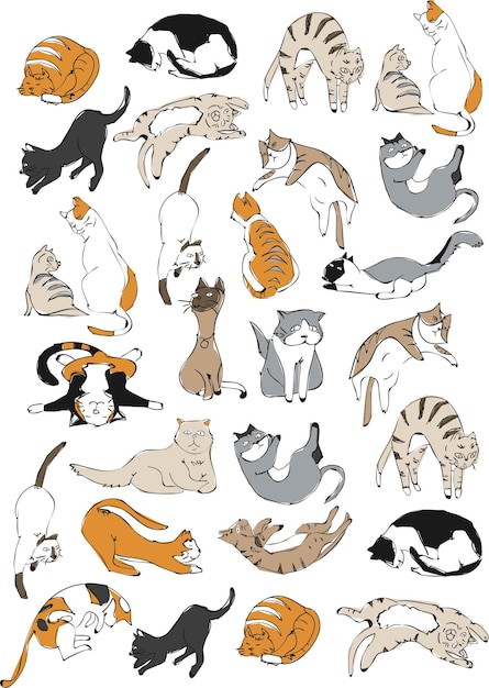 Vector cats illustration