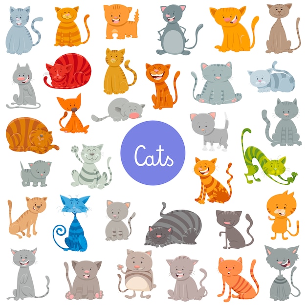 Cats and Kittens Pet Animal Characters Large Set