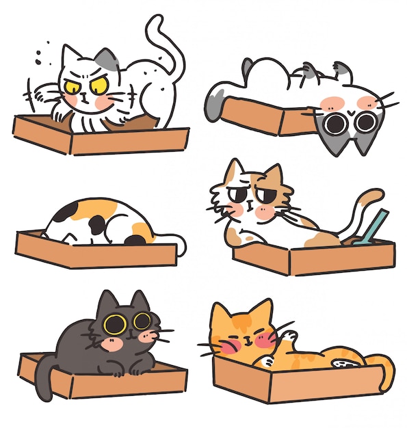 Vector cats kittens and their litterbox