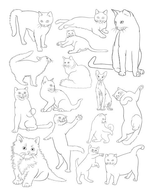 Cats line art