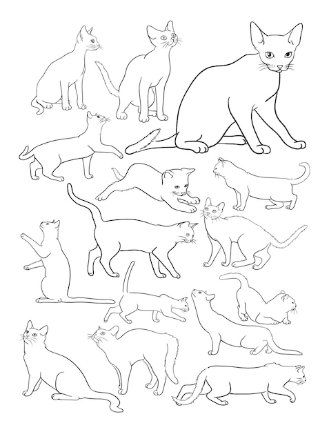 Cats line drawing