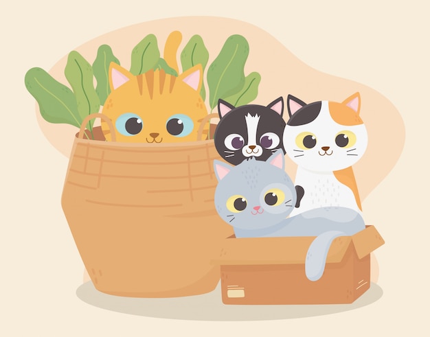 Vector cats make me happy, cats in cardboard box and kitten in basket cartoon