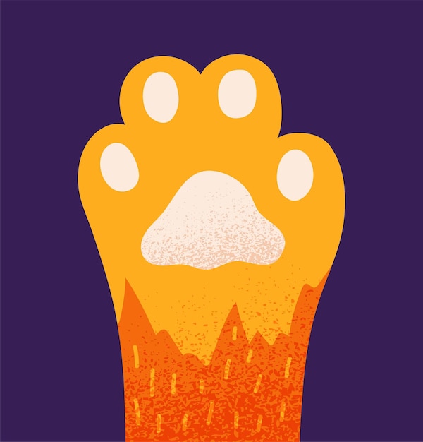 Vector cats paw concept