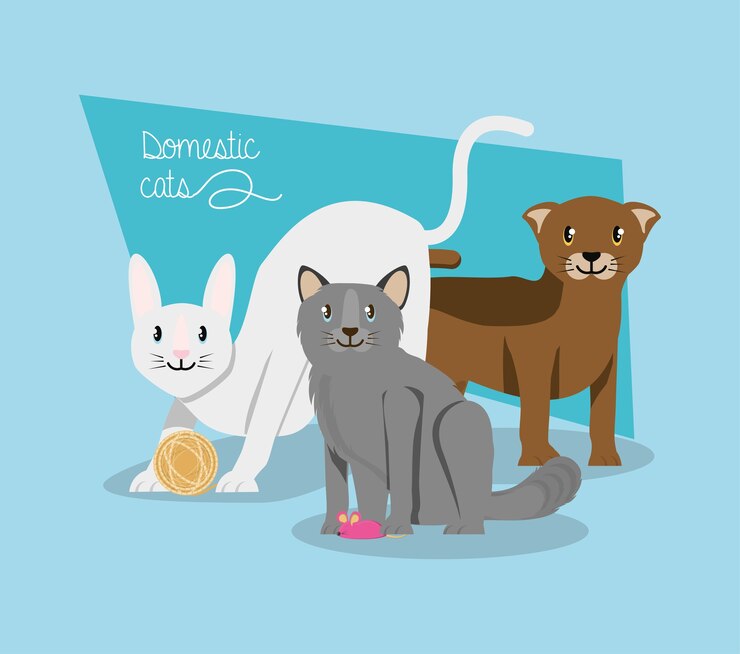 Vector cats playing with mouse 