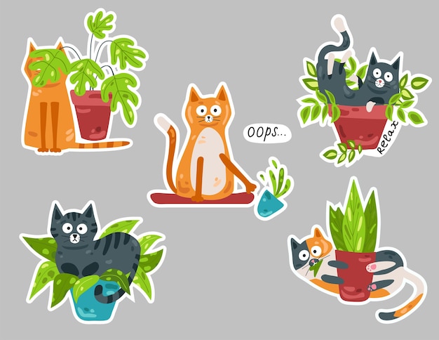 Cats and potted flowers Collection of stickers Vector illustration