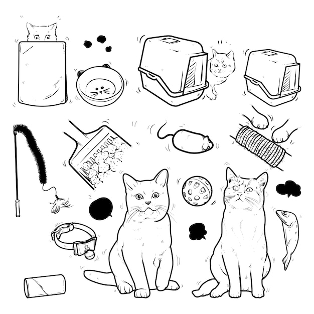 Cats and products for cats