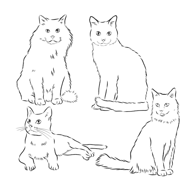 Cats set vector illustration handdrawn cute fluffy cats domestic cat set