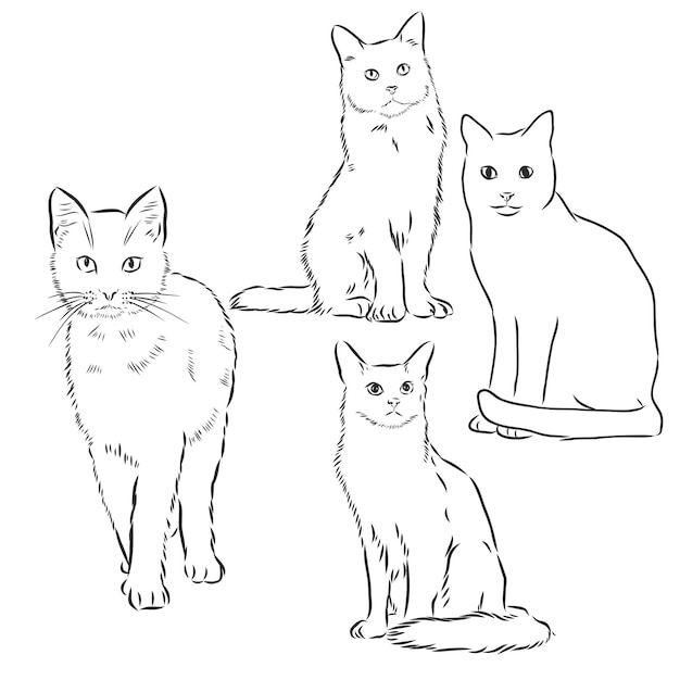 猫セットベクトルイラスト手描きかわいいふわふわ猫飼い猫セット