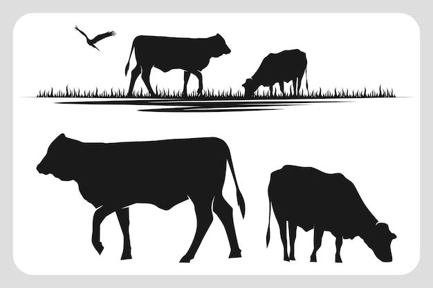 Bovini angus mucca erba silhouette allevamento di bestiame logo design uccello volare silhouette biglietto da visita set