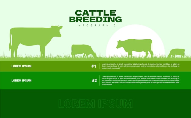 Vettore illustrazione vettoriale di design piatto sfondo infografica allevamento bovini
