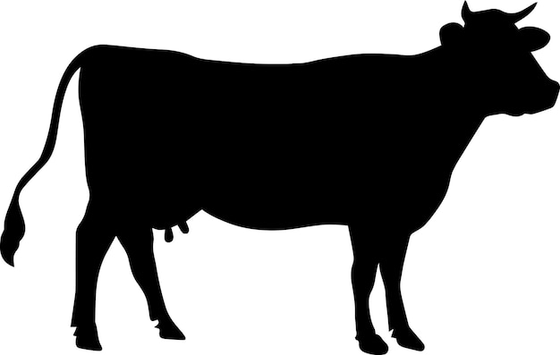 Cattle vector silhouette illustration 18