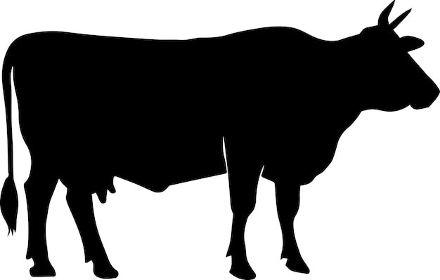 Cattle vector silhouette illustration 29