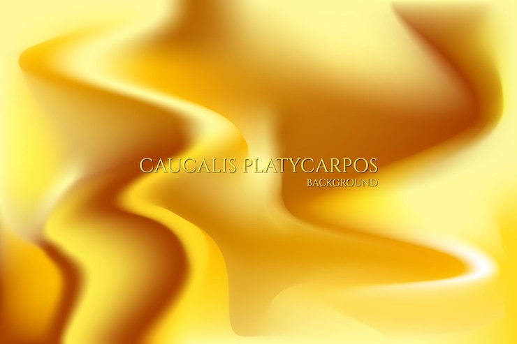 Vector caucalis platycarpos background textura granulada degradado gradiente