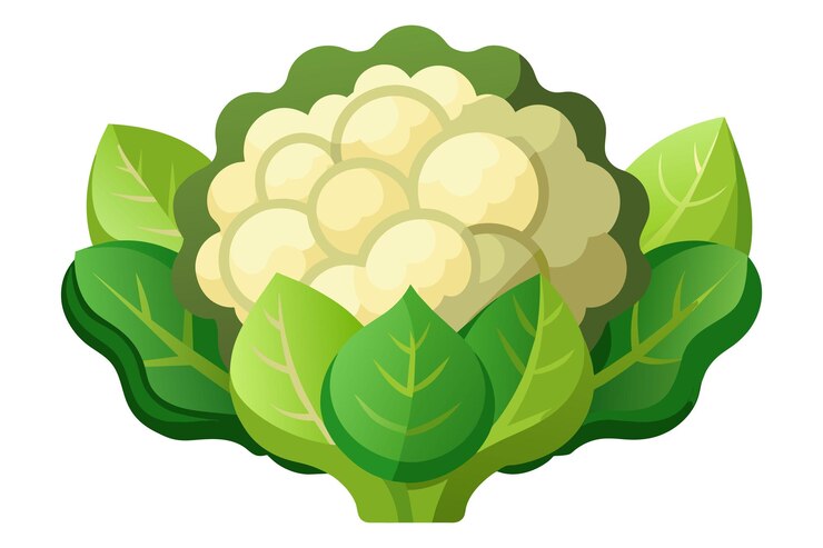 Vector cauli flower vegetable flat vector illustration