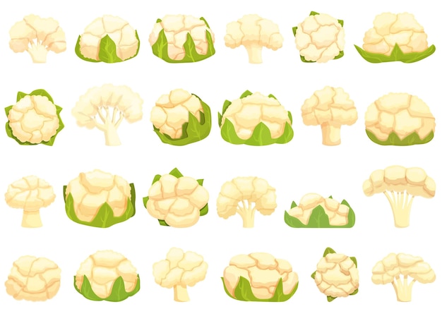 Cauliflower icons set cartoon vector Cabbage piece