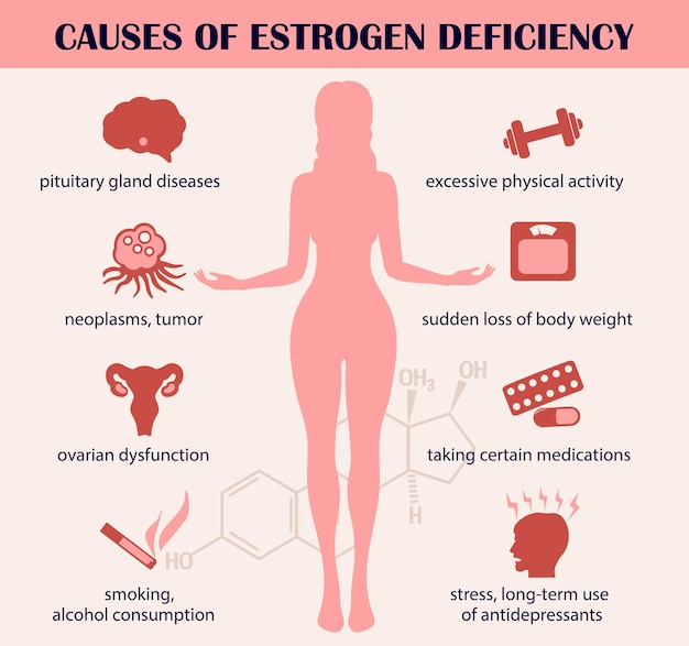 Причины дефицита эстрогена Инфографика Концепция гормона эстрогена Векторная иллюстрация