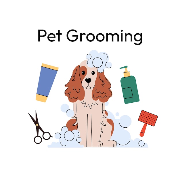 cavalier king charles spaniel grooming the fluffy dog sits calmly surrounded by grooming tools like