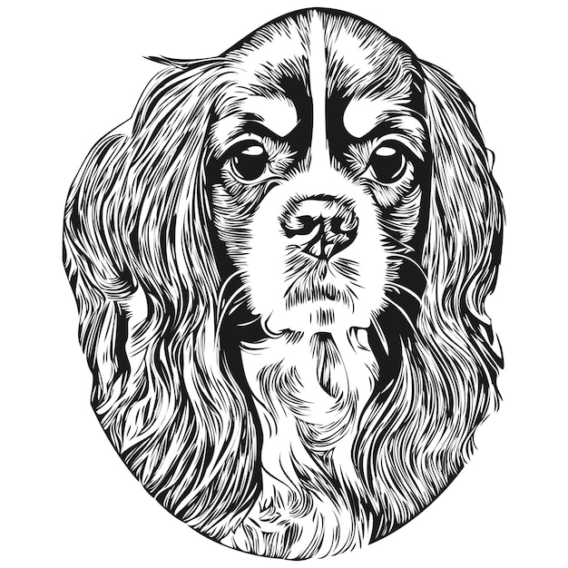 Vettore cavalier king charles spaniels cane linea arte disegno a mano vettore logo animali domestici in bianco e nero illustrazione