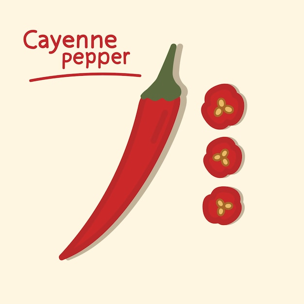 Cayenne pepper. Hand drawn hot chili pepper elements collection.