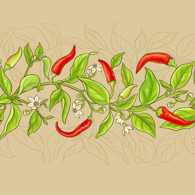 Vector cayenne pepper pattern