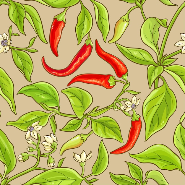 Cayenne pepper pattern