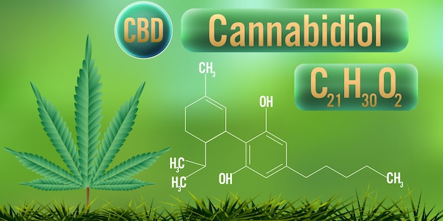 식의 Cbd (cannabidiol)