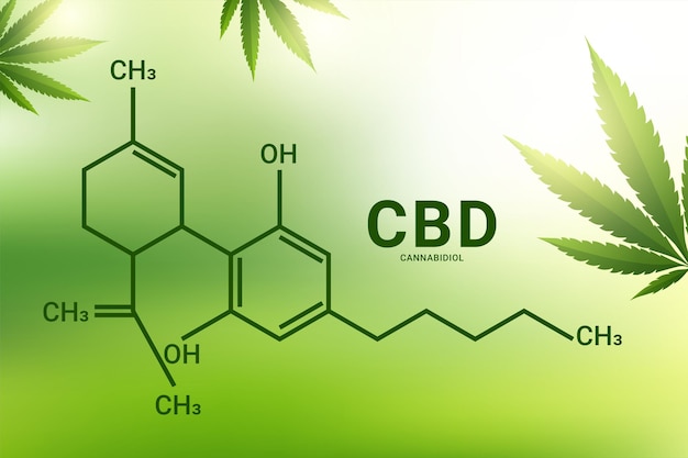 Vector cbd formula. cannabidiol molecule structure compound