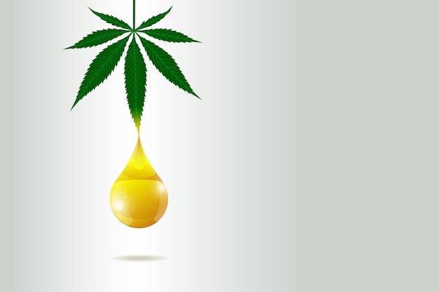 Olio di canapa cbd del concetto di poster di cannabis medica estratto di foglie di marijuana goccia etichetta del prodotto naturale