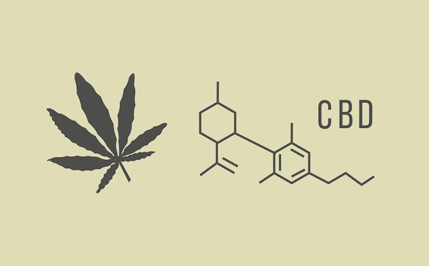 Cbd hennepolie illustratie in organische kleur met marihuanablad en chemische formule op pastel backgr