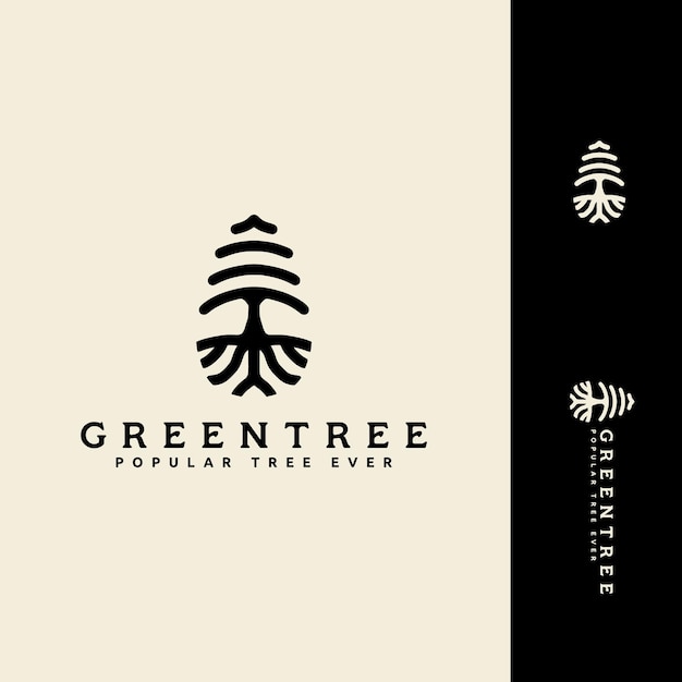 Vector cedar pines tree wood forest logo design vector line