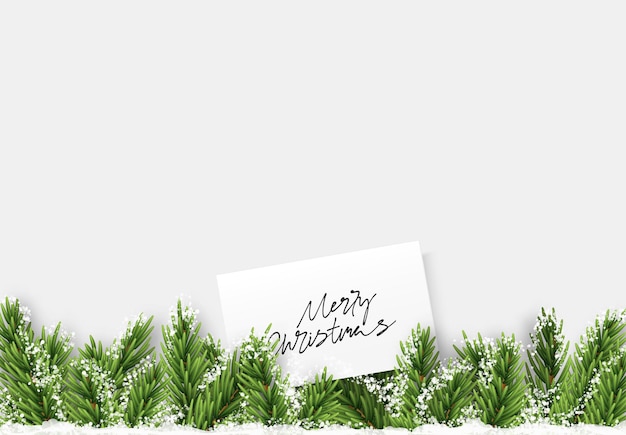 Celebrate Christmas green fir branches, banner, poster. Pine and fir branches, frame white background with place for text, Vector illustration