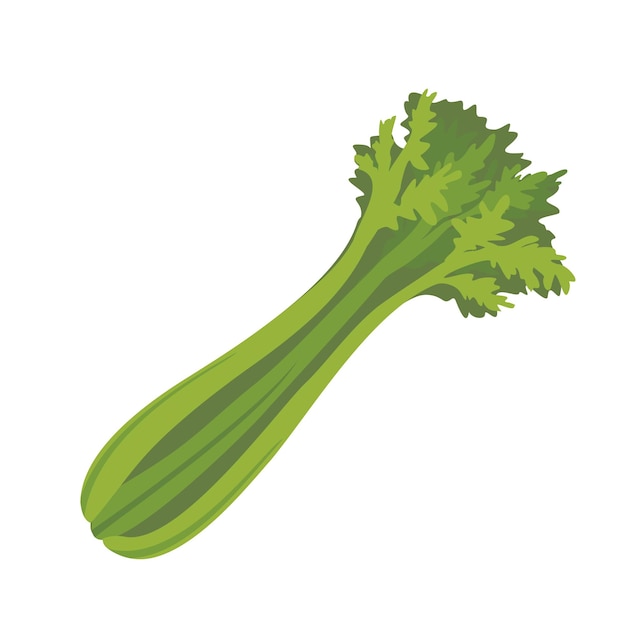 Vector celery bunch