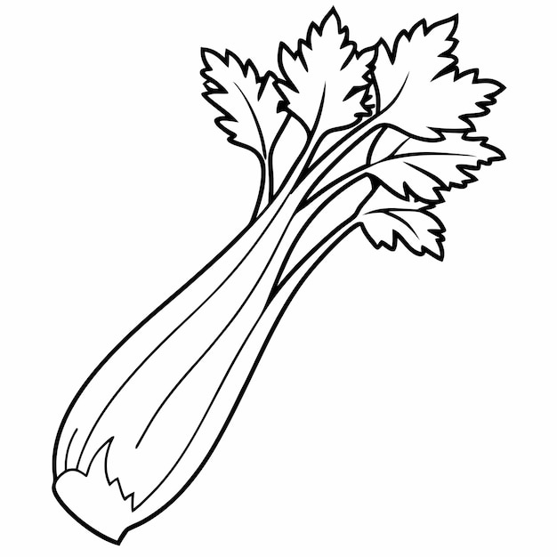 celery line art vector outline