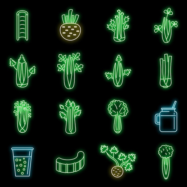 Vector celery salad icons set vector neon