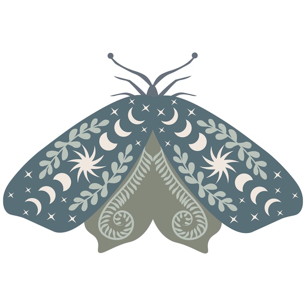 Celestial butterfly vector illustration. mystical luna moth with moon phases. magic floral insect