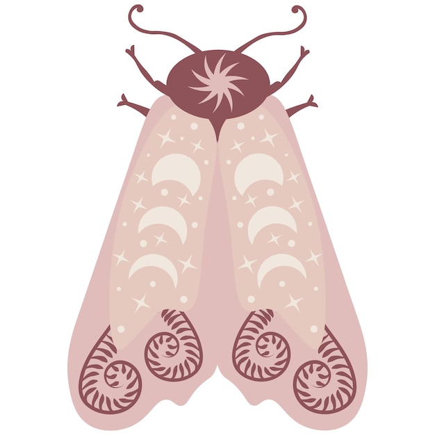 Vector celestial butterfly vector illustration. mystical luna moth with moon phases. magic floral insect