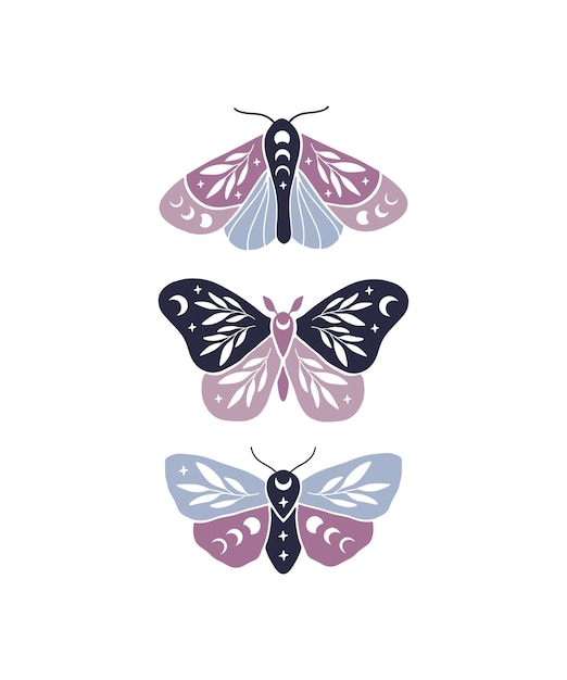 Vector celestial butterfly with moon phases vector illustration