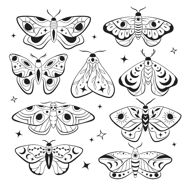 Vector celestial moon night moths esoteric butterflies boho illustrations set of vector drawings