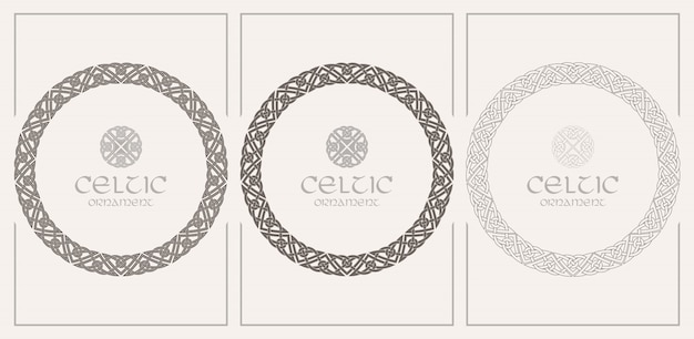 Vector celtic knot braided frame border ornament. a4 size