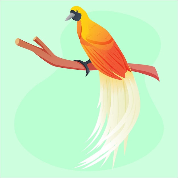 Vector cendrawasih which called paradise bird from papua indonesia