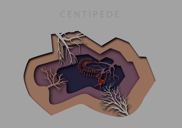 centipede art