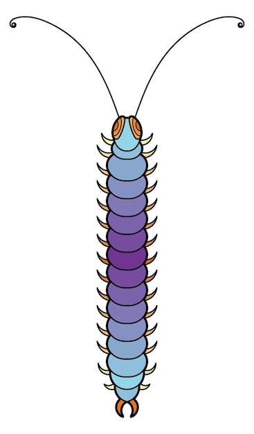 Centipede icon Color stylized animal Decorative insect