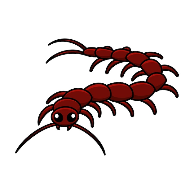 Centipede Vector Illustration