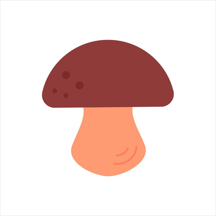 Vector cep mushroom element for autumn design