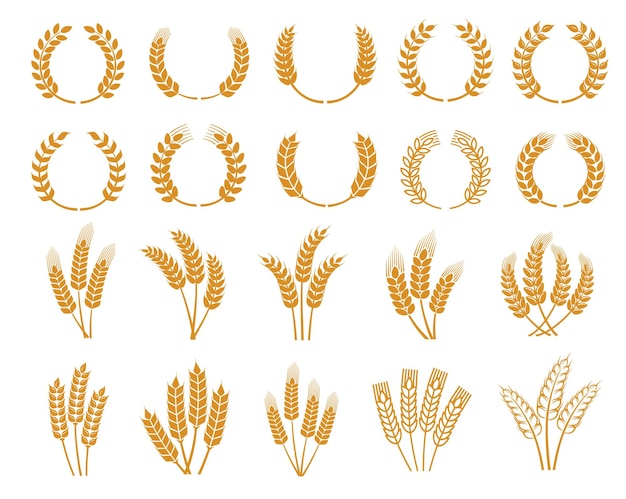 Vector cereal wheat ear and spikes laurel wreath icons