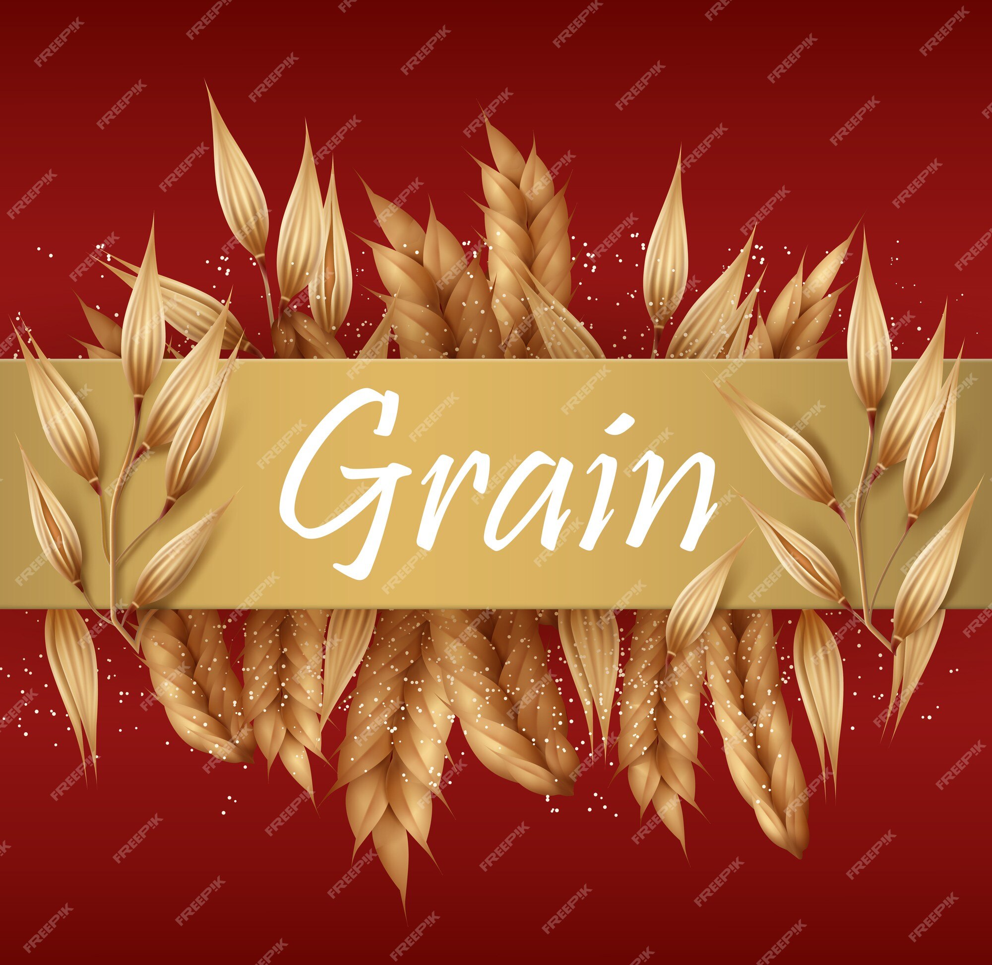 Premium Vector | Cereals grains and spikelets or ears wheat, barley, oat  and rye with golden banner for text isolated on red background