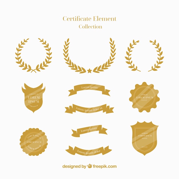 Certificate elements collection in flat style