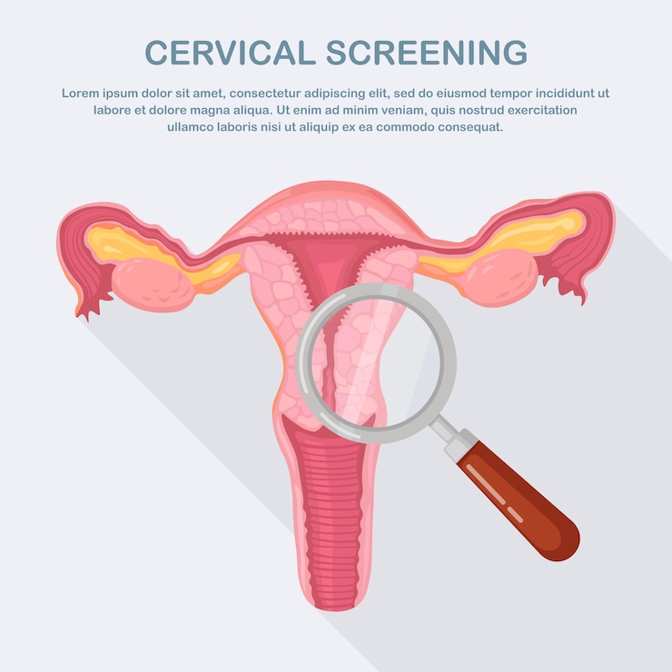Vector cervical screening, examination for cancer. uterus with ovary, cervix, fallopian tubes, magnifier