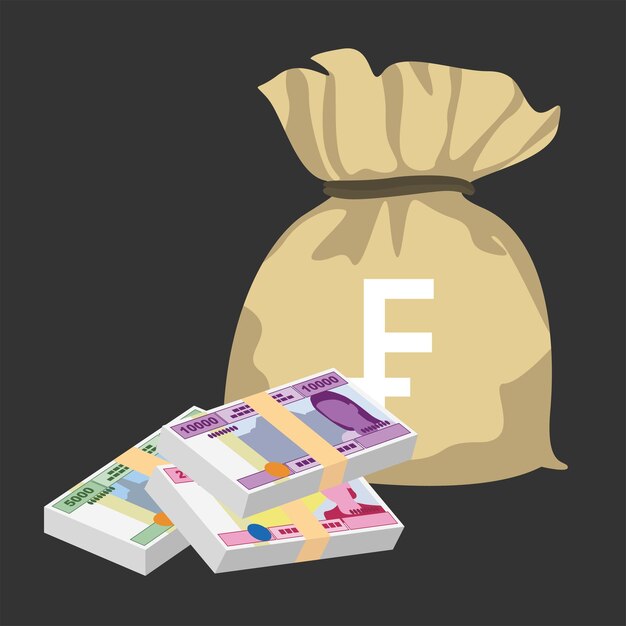 Cfa Franc Beac Vector Illustratie Centraal-Afrikaanse Frank geld set bundel bankbiljetten Geld tas